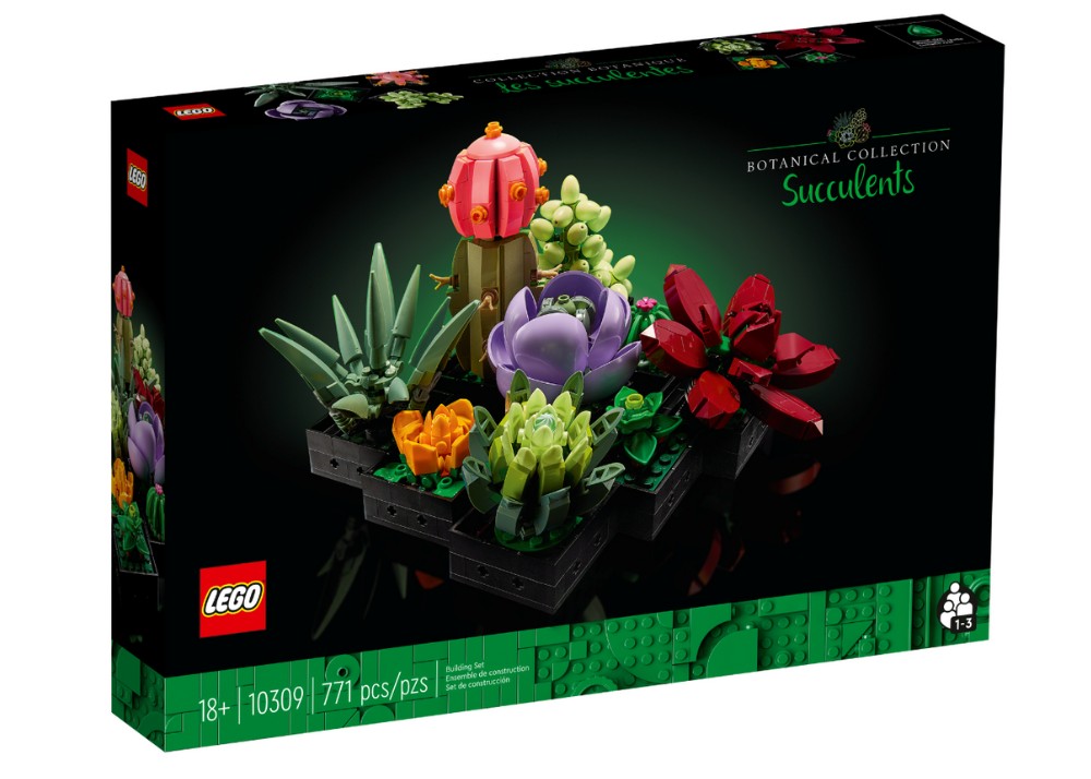 Succulents 10309