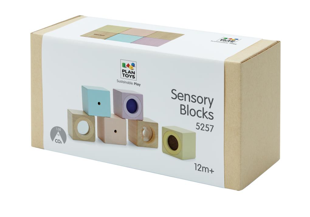 Sensory Blocks