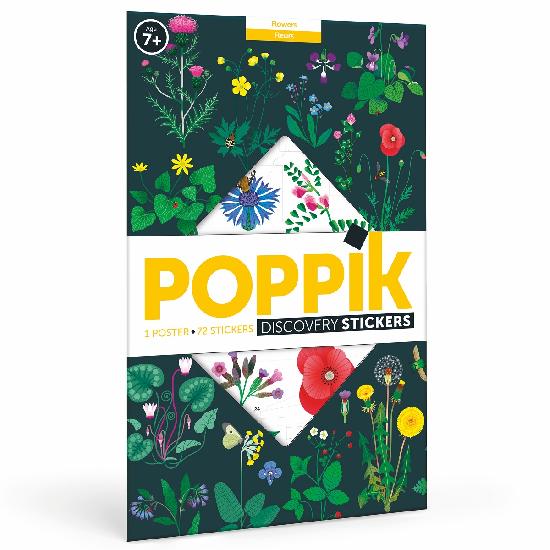 Flowers - Discovery Poster (100 x 68cm)
