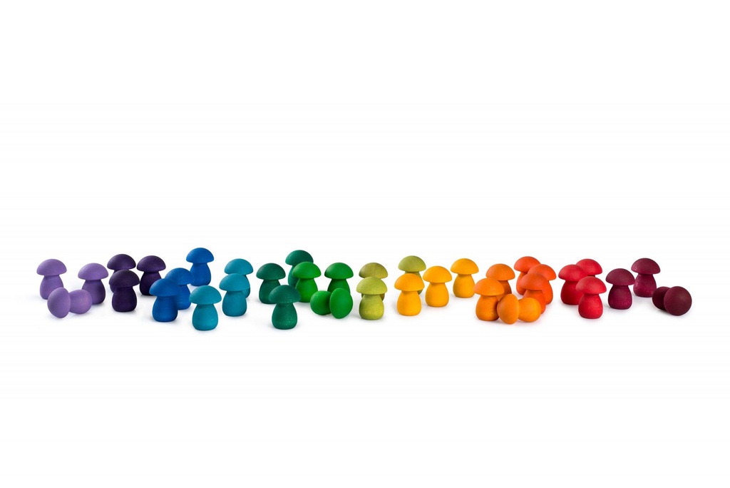 Wood Mandala Rainbow Mushrooms 36pcs