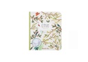 Botanist Sticker and Colouring Book