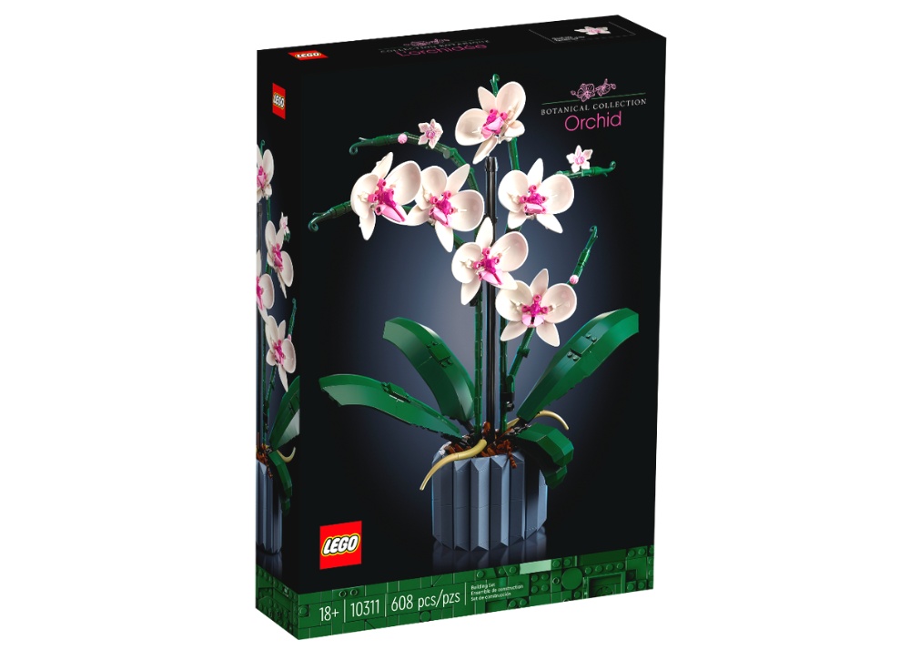 Orchid 10311