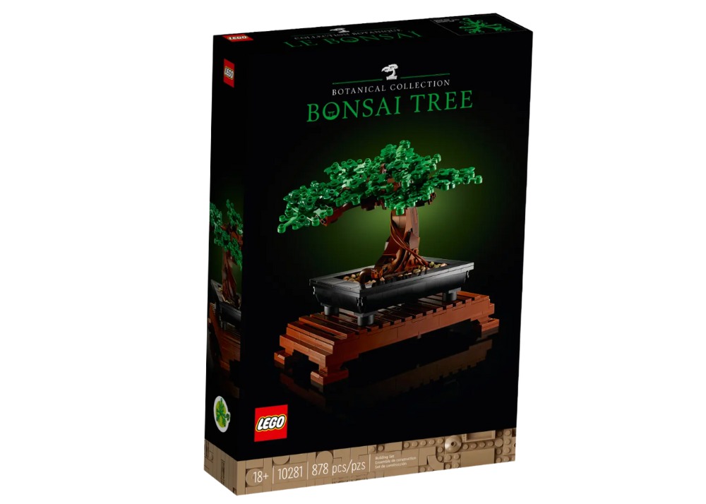 Bonsai Tree 10281