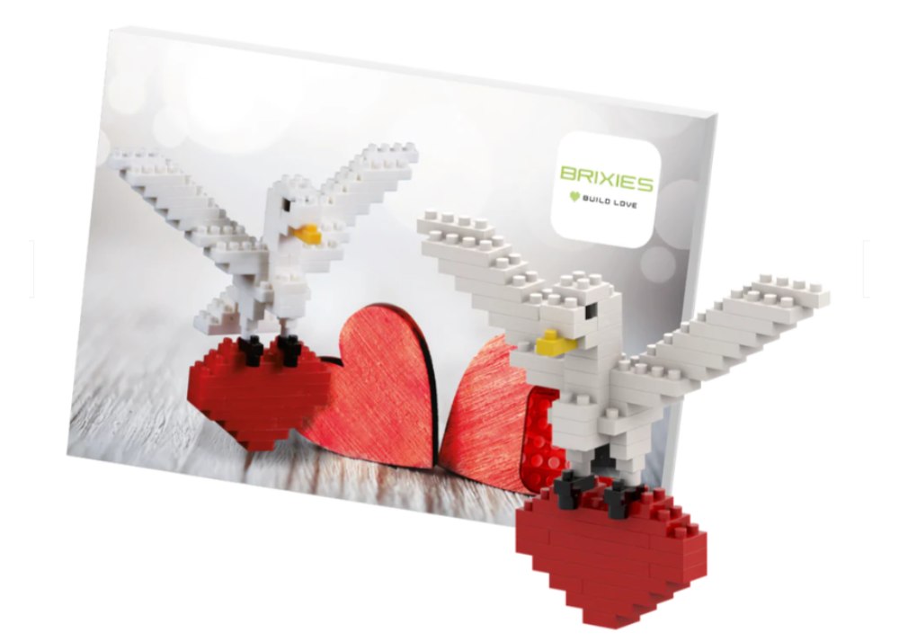 Turtle Dove Postcard