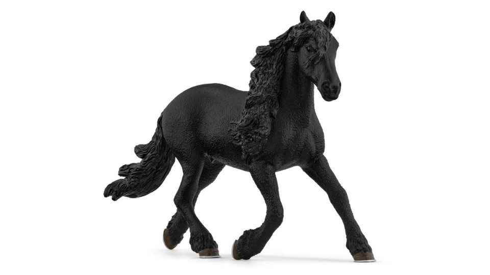 Friesian Stallion