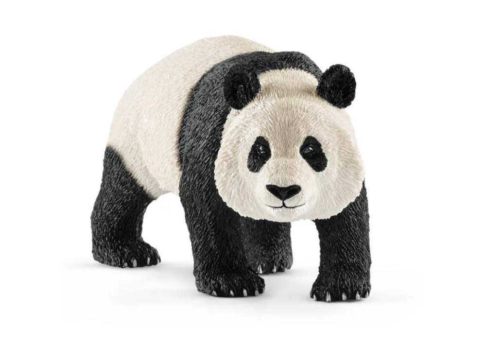Giant Panda, Male 14772