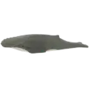Humpback Whale Toy - Wooden