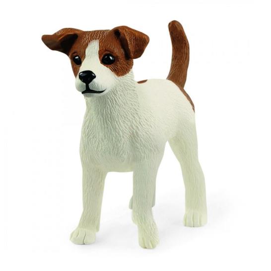 Jack Russell Terrier
