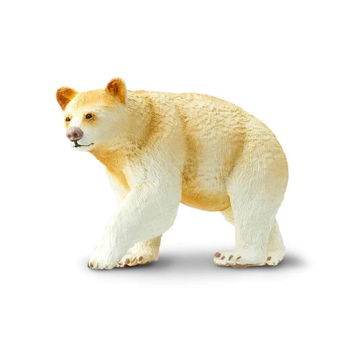 Kermode Bear