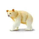 Kermode Bear