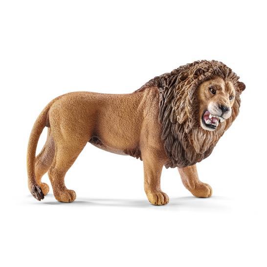 Lion Roaring