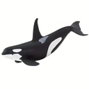 Orca