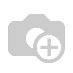 Physical Therapist