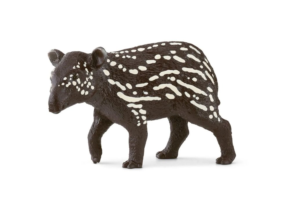 Tapir Baby