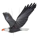 American Bald Eagle - Flying Bird Mobile