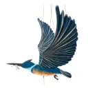 Belted Kingfisher - Flying Bird Mobile