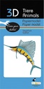 3D Paper Model - Sailfish