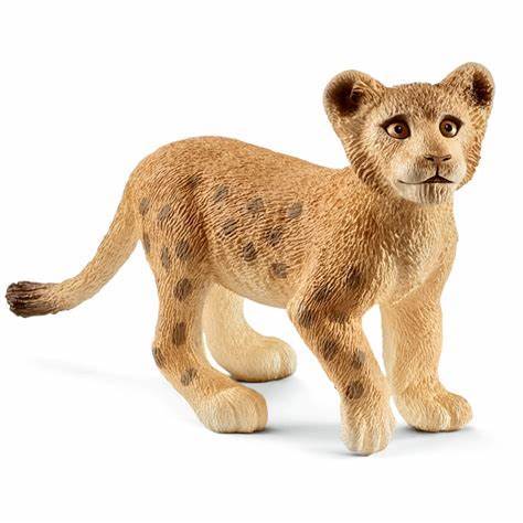 Lion Cub