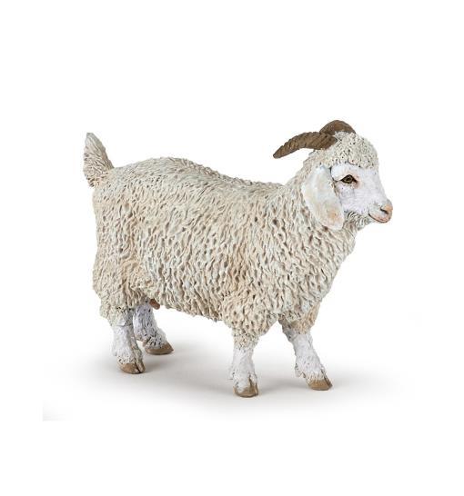 Angora Goat