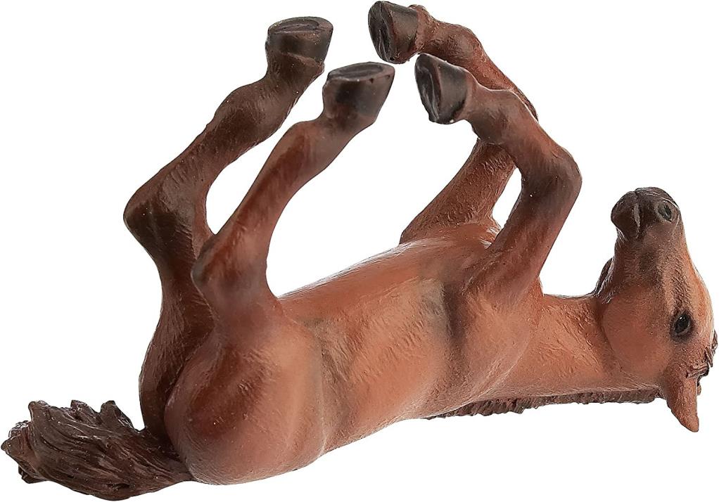 Arabian Foal