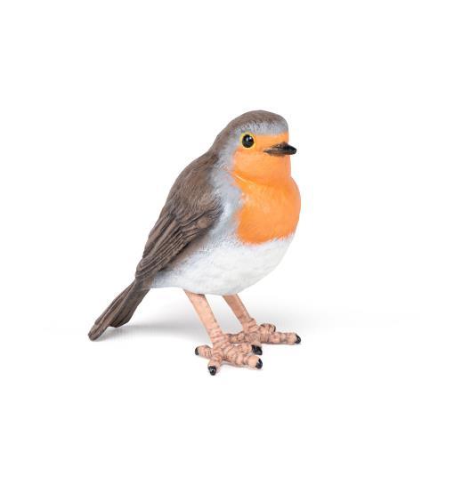 English Robin