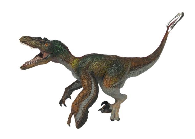 Feathered Velociraptor 55055