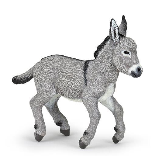 Foal, Provence Donkey