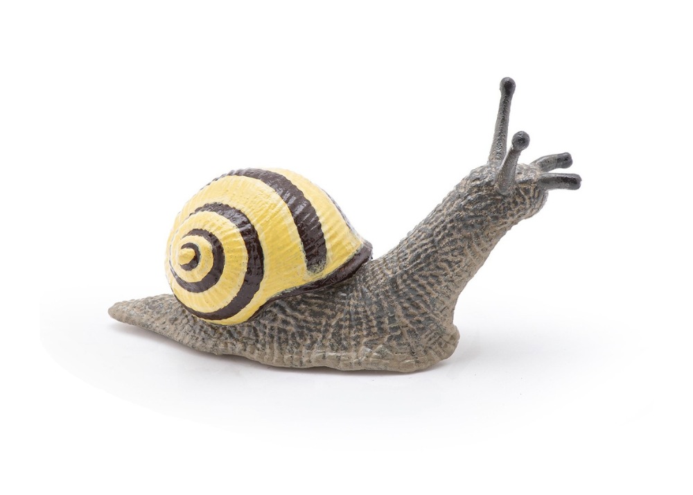 Grove Snail