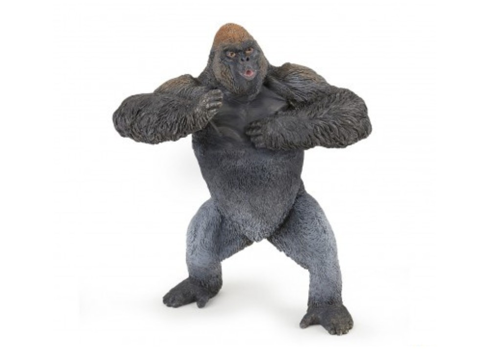 Mountain Gorilla