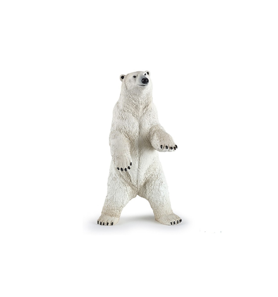 Polar Bear Standing