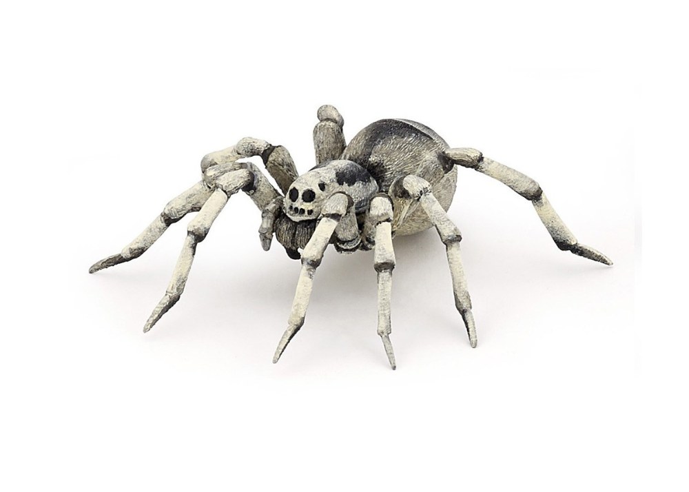Tarantula