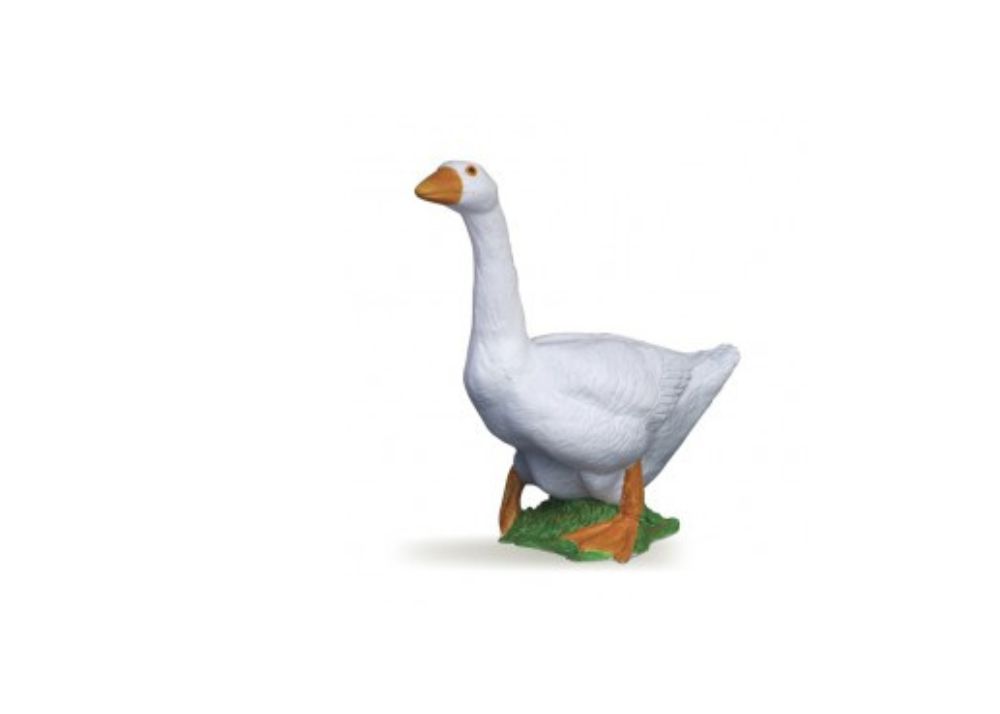 White Goose