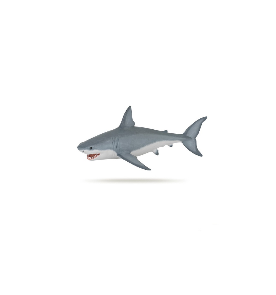 White Shark
