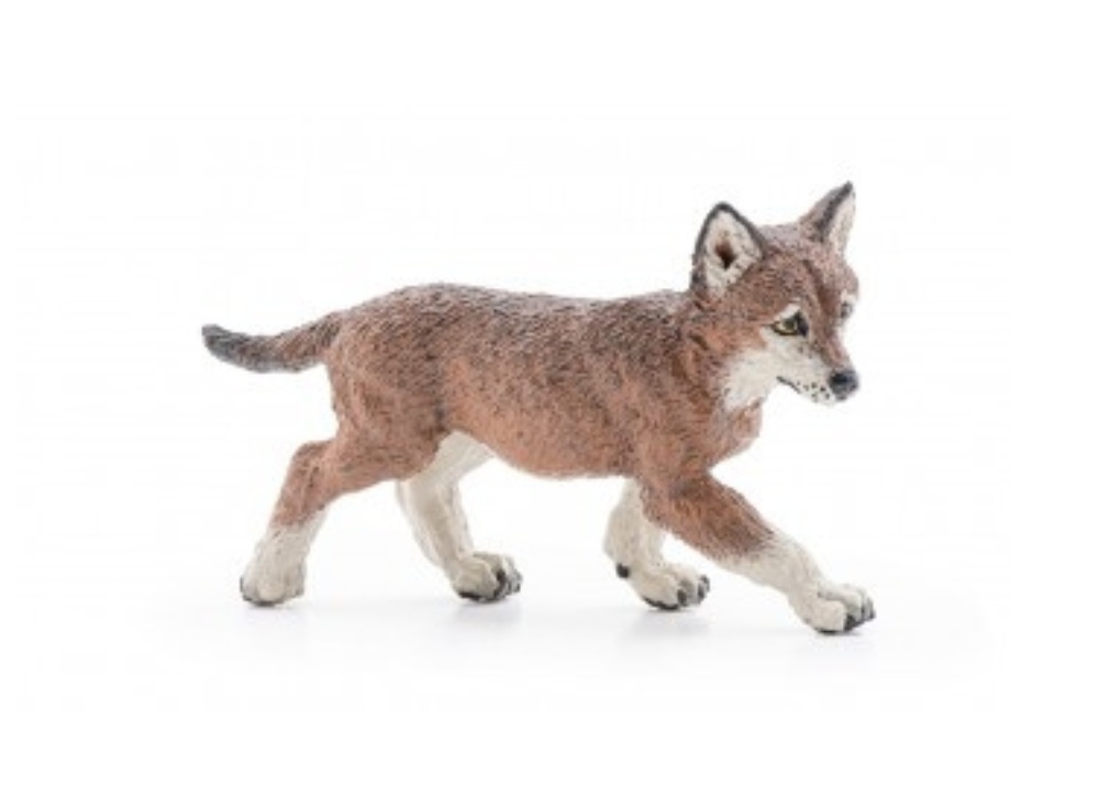 Wolf Cub