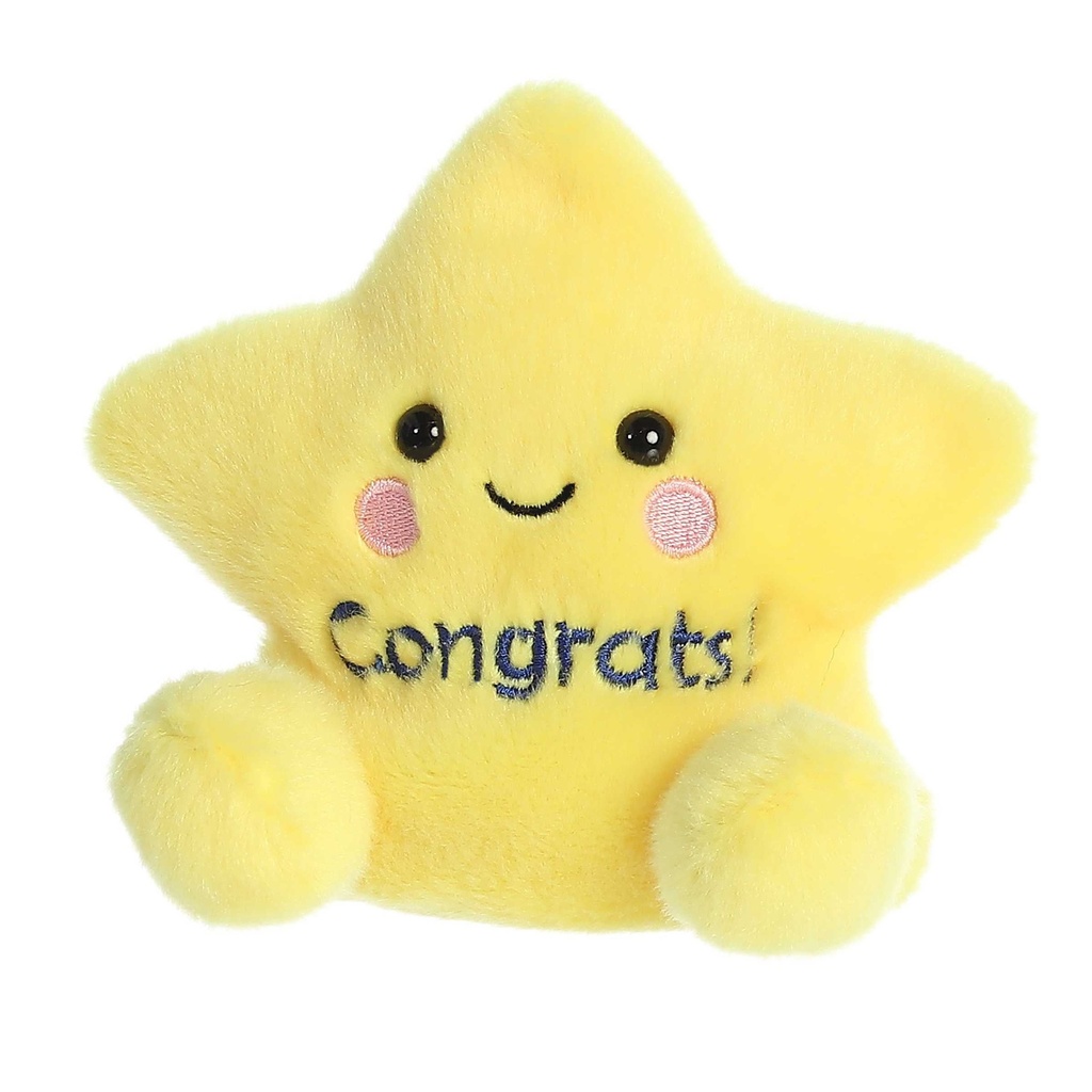 Galileo Congrats Star