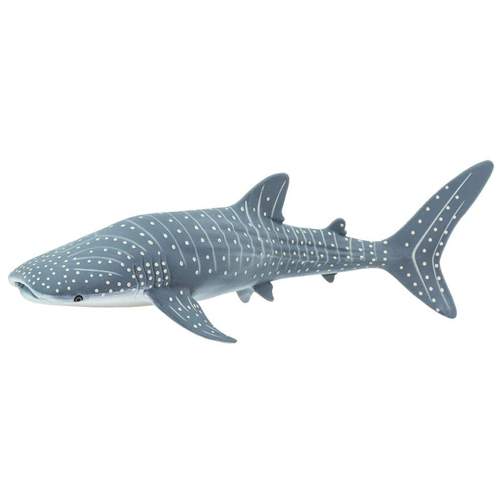 Whale Shark - 422129