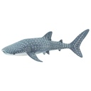 Whale Shark - 422129