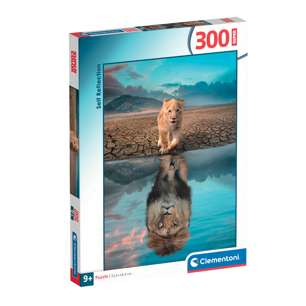 300pc Self Reflection