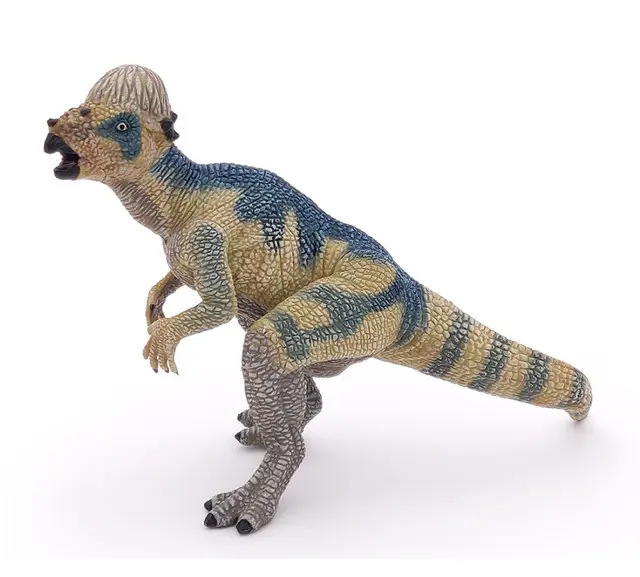 Baby Pachycephalosaurus
