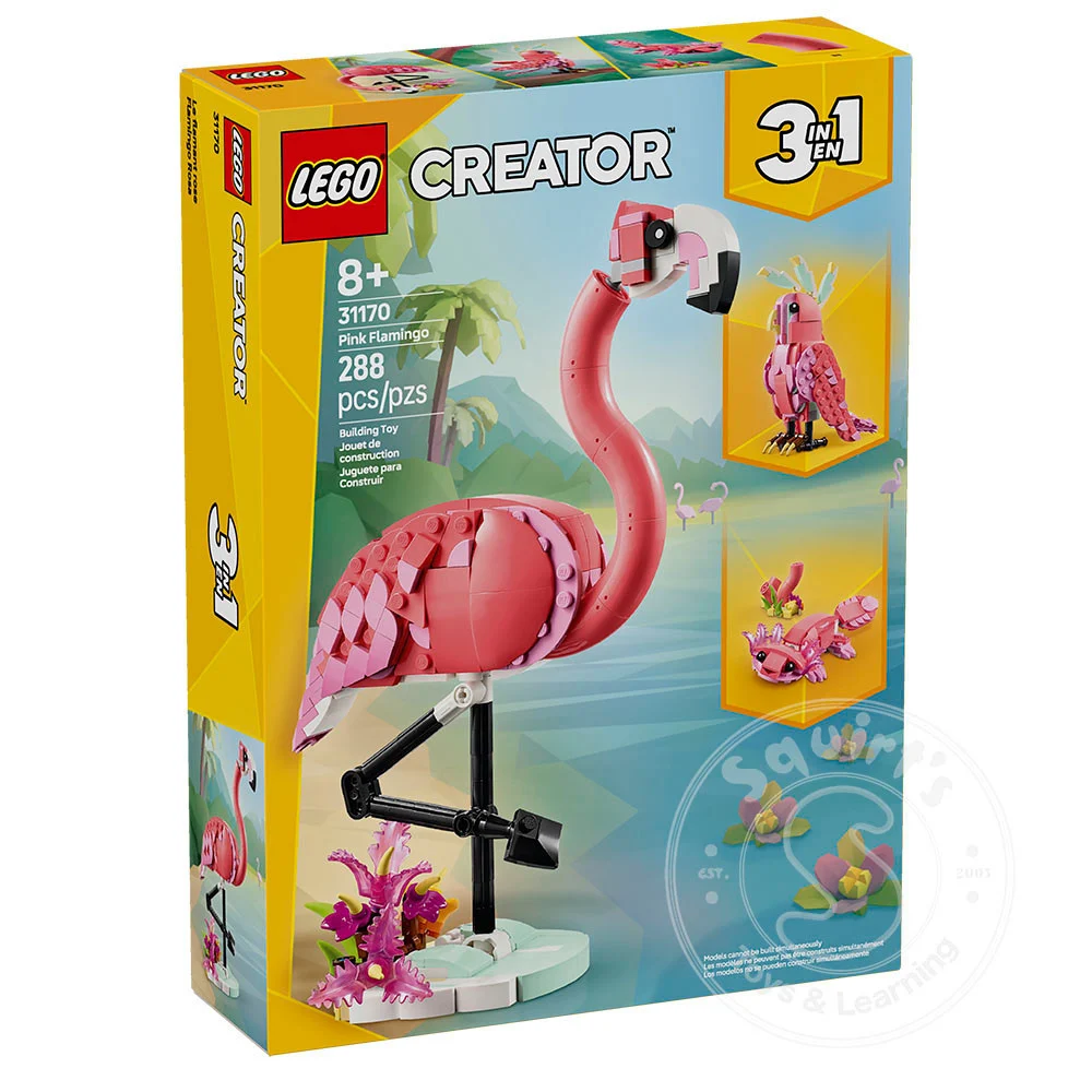 Wild Animals: Pink Flamingo