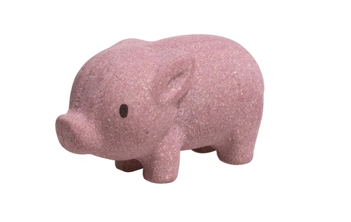 [11911] Pig