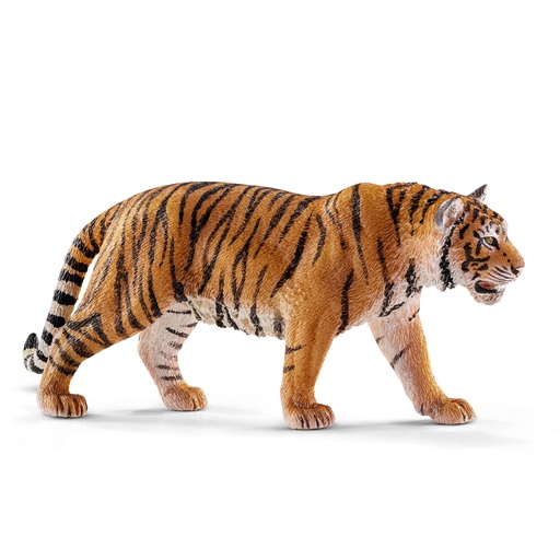 [6755] Tiger