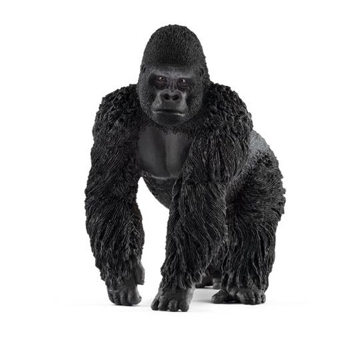 [12683] Gorilla - Male