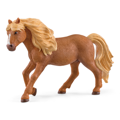 [13518] Icelandic Pony Stallion