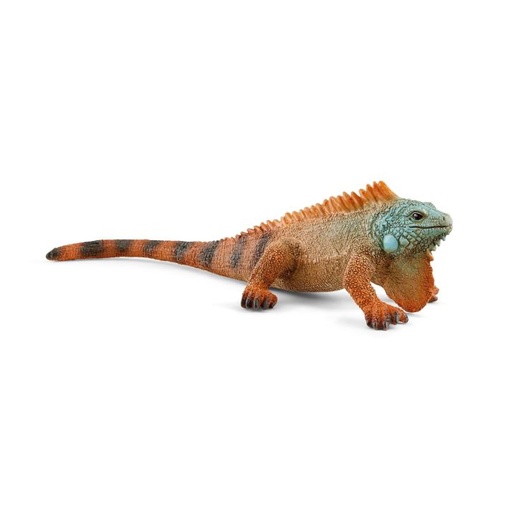 [14902] Iguana