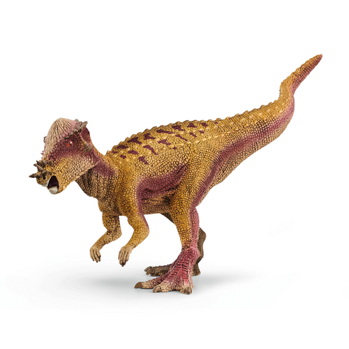[11938] Pachycephalosaurus