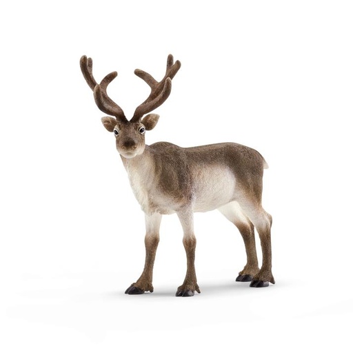 [14837] Reindeer
