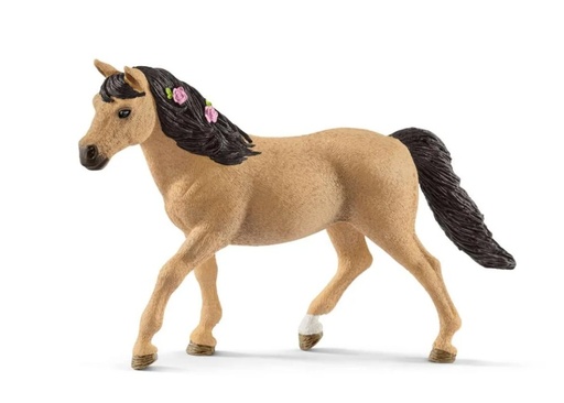 [14442] Connemara Pony Mare