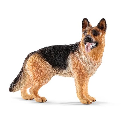 [6768] German Shepherd