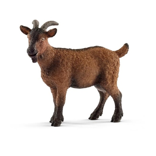 [14787] Goat